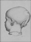 baby-head